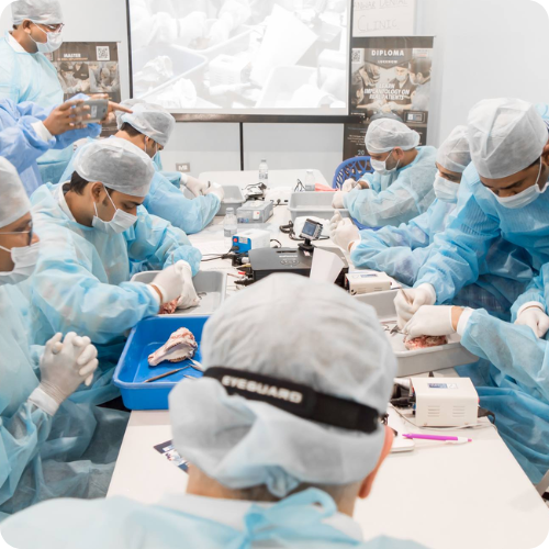 India’s First Practical Implant Training